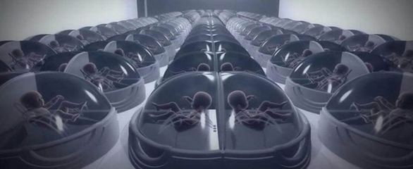 真正解放妇女的科技!我国科学家在"人造子宫"研究上取得新进展